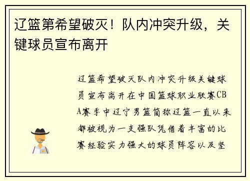 辽篮第希望破灭！队内冲突升级，关键球员宣布离开