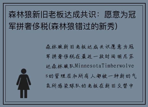 森林狼新旧老板达成共识：愿意为冠军拼奢侈税(森林狼错过的新秀)