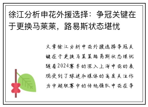 徐江分析申花外援选择：争冠关键在于更换马莱莱，路易斯状态堪忧