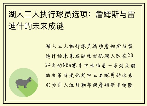 湖人三人执行球员选项：詹姆斯与雷迪什的未来成谜