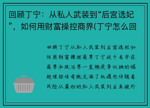 回顾丁宁：从私人武装到“后宫选妃”，如何用财富操控商界(丁宁怎么回事)